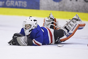 Klik for at se eller bestil foto