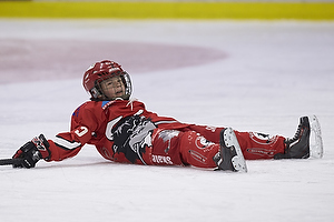 Klik for at se eller bestil foto