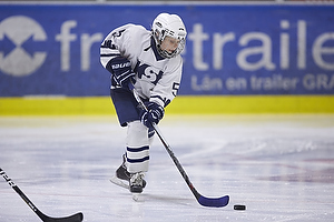 Klik for at se eller bestil foto