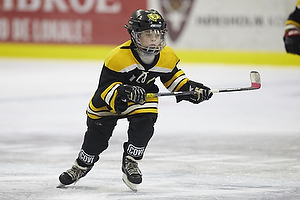 Klik for at se eller bestil foto