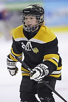 Klik for at se eller bestil foto