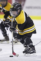 Klik for at se eller bestil foto