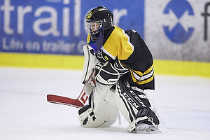 Klik for at se eller bestil foto