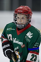 Klik for at se eller bestil foto