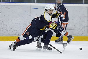 Klik for at se eller bestil foto