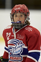 Klik for at se eller bestil foto