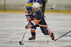 Klik for at se eller bestil foto