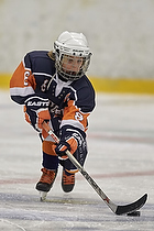 Klik for at se eller bestil foto