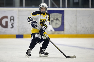 Klik for at se eller bestil foto