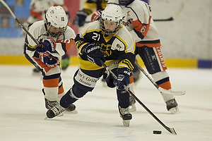 Klik for at se eller bestil foto