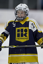 Klik for at se eller bestil foto