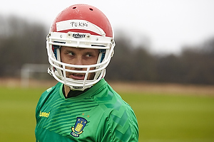 Teemu Pukki (Brndby IF)