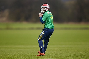 Johan Elmander (Brndby IF)