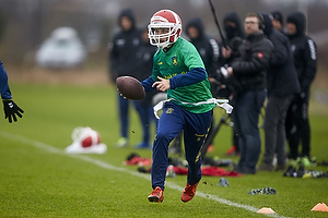 Teemu Pukki (Brndby IF)