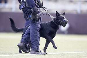 Svensk politi med hund
