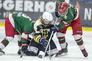 Klik for at se eller bestil foto