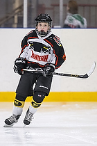 Klik for at se eller bestil foto