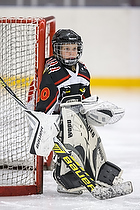 Klik for at se eller bestil foto