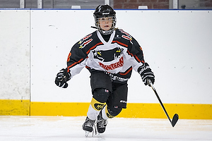 Klik for at se eller bestil foto