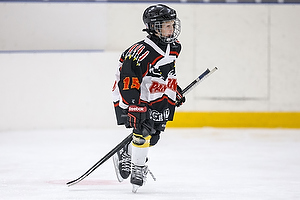 Klik for at se eller bestil foto