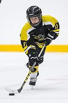 Klik for at se eller bestil foto