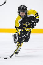 Klik for at se eller bestil foto