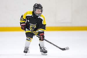 Klik for at se eller bestil foto