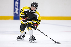 Klik for at se eller bestil foto