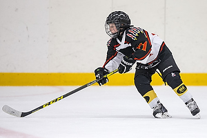 Klik for at se eller bestil foto