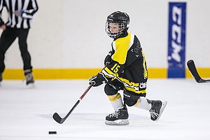 Klik for at se eller bestil foto