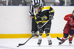 Klik for at se eller bestil foto