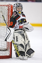 Klik for at se eller bestil foto