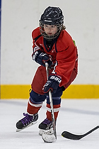 Klik for at se eller bestil foto