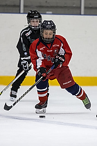 Klik for at se eller bestil foto