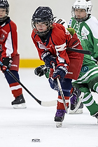 Klik for at se eller bestil foto