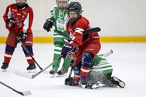 Klik for at se eller bestil foto