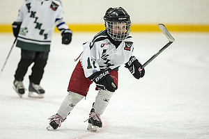 Klik for at se eller bestil foto