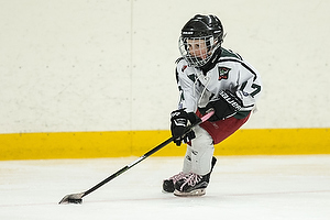 Klik for at se eller bestil foto