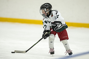 Klik for at se eller bestil foto