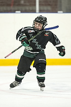 Klik for at se eller bestil foto