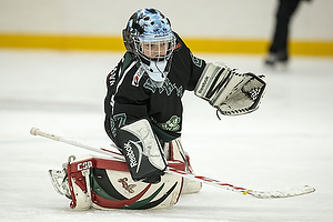 Klik for at se eller bestil foto