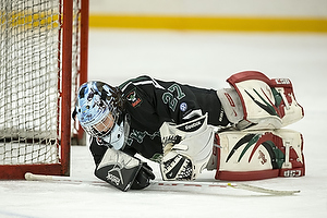 Klik for at se eller bestil foto