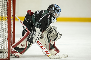 Klik for at se eller bestil foto