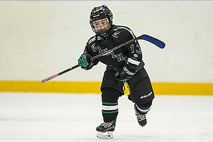 Klik for at se eller bestil foto