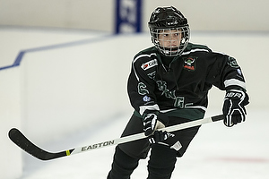 Klik for at se eller bestil foto