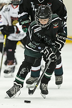 Klik for at se eller bestil foto