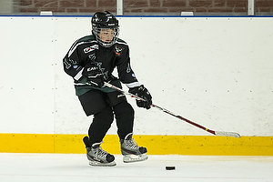 Klik for at se eller bestil foto