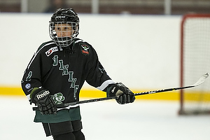 Klik for at se eller bestil foto