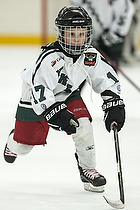 Klik for at se eller bestil foto