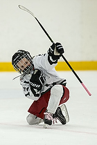 Klik for at se eller bestil foto